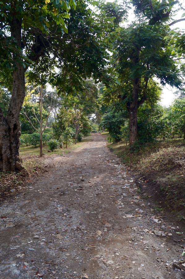 Arusha Villa Karamu Coffee Estate Usa River Exterior photo